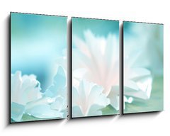 Obraz 3D tdln - 90 x 50 cm F_BS72231283 - roses flower wedding valentine background