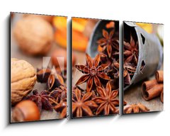 Obraz 3D tdln - 90 x 50 cm F_BS72512517 - Weihnachtsgewrze