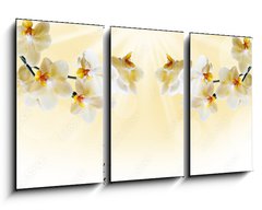 Obraz 3D tdln - 90 x 50 cm F_BS72852358 - Beautiful white orchid