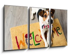 Obraz 3D tdln - 90 x 50 cm F_BS73116832 - Cute dog posing on the carpet