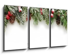 Obraz 3D tdln - 90 x 50 cm F_BS73500851 - Christmas tree branches background - Vnon stromky vtve pozad