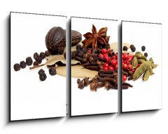 Obraz 3D tdln - 90 x 50 cm F_BS73902901 - Spices isolated on white background