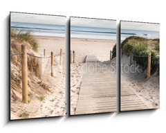 Obraz 3D tdln - 90 x 50 cm F_BS74072475 - pasarela 02