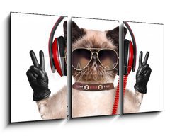 Obraz 3D tdln - 90 x 50 cm F_BS74275081 - Cat headphones. - Kokov sluchtka.