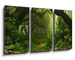 Obraz 3D tdln - 90 x 50 cm F_BS74532471 - Selva Nepal