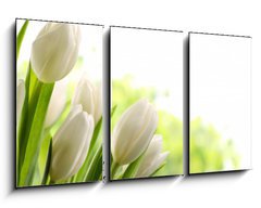 Obraz   White Tulips, 90 x 50 cm