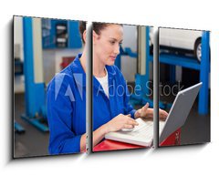 Obraz 3D tdln - 90 x 50 cm F_BS76801995 - Mechanic working on a laptop