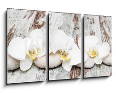 Obraz 3D tdln - 90 x 50 cm F_BS78194063 - beautiful orchid with stones