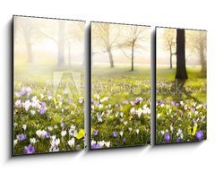 Obraz 3D tdln - 90 x 50 cm F_BS78313786 - abstract sunny beautiful Spring background - abstraktn slunn krsn jarn pozad
