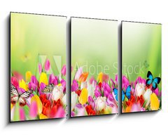 Obraz 3D tdln - 90 x 50 cm F_BS78579021 - Beautiful bouquet of tulips.