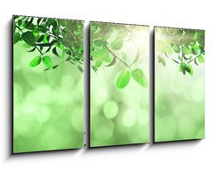 Obraz   Leaves and grass against a defocussed background, 90 x 50 cm