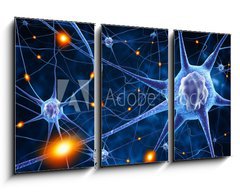 Obraz 3D tdln - 90 x 50 cm F_BS78707112 - nerve cells