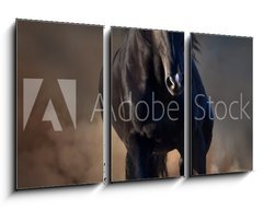 Obraz 3D tdln - 90 x 50 cm F_BS78859419 - Beautiful black stallion run in desert dust against sunset sky