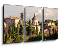 Obraz   Roma Foro Romano Monte palatino, 90 x 50 cm