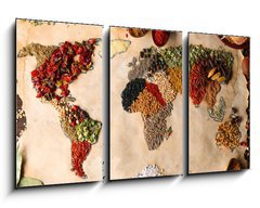 Obraz 3D tdln - 90 x 50 cm F_BS79106209 - Map of world made from different kinds of spices, close-up
