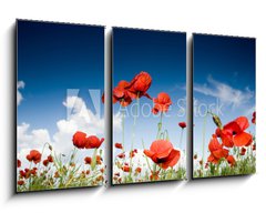 Obraz 3D tdln - 90 x 50 cm F_BS7988528 - Field with poppies under dark sky