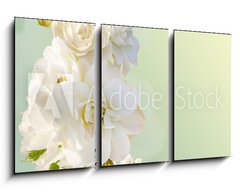 Obraz   Beautiful vertical frame with a bouquet of white roses, 90 x 50 cm
