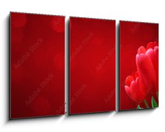Obraz   Wunderschne Tulpen, 90 x 50 cm