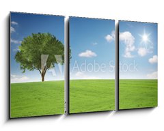 Obraz   Landschaft mit Baum, 90 x 50 cm
