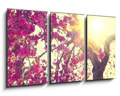 Obraz   Spring blossom. Beautiful nature scene with blooming tree, 90 x 50 cm