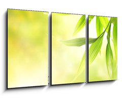 Obraz 3D tdln - 90 x 50 cm F_BS8266726 - Green bamboo leaves over abstract blurred background