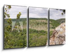 Obraz 3D tdln - 90 x 50 cm F_BS83256331 - View of well known vineyard Sobes in Znojmo region, Moravia, Cze - Pohled na znm vinice Sobes v Znojm, na Morav, v Cze