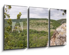 Obraz   View of well known vineyard Sobes in Znojmo region, Moravia, Cze, 90 x 50 cm