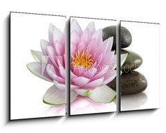 Obraz 3D tdln - 90 x 50 cm F_BS8408992 - Fleur de lotus et galets zen