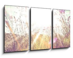 Obraz 3D tdln - 90 x 50 cm F_BS84657670 - Sun rays on a meadow
