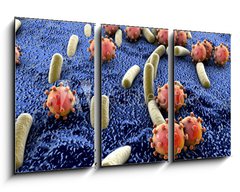 Obraz   Bacteria and viruses on surface of skin, mucous membrane or intestine, model of MERS, HIV, flu, Escherichia coli, Salmonella, Klebsiella, Legionella, Mycobacterium tuberculosis, model of microbes, 90 x 50 cm