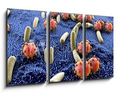 Obraz 3D tdln - 90 x 50 cm F_BS89000179 - Bacteria and viruses on surface of skin, mucous membrane or intestine, model of MERS, HIV, flu, Escherichia coli, Salmonella, Klebsiella, Legionella, Mycobacterium tuberculosis, model of microbes