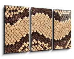 Obraz 3D tdln - 90 x 50 cm F_BS90620338 - Snake skin.