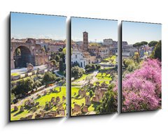 Obraz 3D tdln - 90 x 50 cm F_BS90731336 - The aerial view of Roman Forum in Rome, Italy