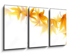Obraz 3D tdln - 90 x 50 cm F_BS90900017 - Swirl of falling autumn maple leaves isolated on white