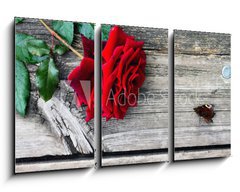 Obraz 3D tdln - 90 x 50 cm F_BS90974590 - Red rose and butterfly on an old wooden table