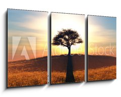 Obraz 3D tdln - 90 x 50 cm F_BS91708972 - sunset and tree - zpad slunce a strom