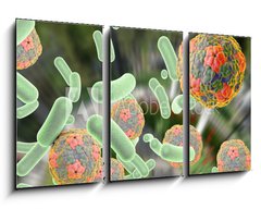 Obraz 3D tdln - 90 x 50 cm F_BS92014317 - Bacteria and viruses (Hepatitis A virus) on colorful background. Medical background. Healthcare background