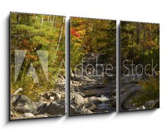 Obraz 3D tdln - 90 x 50 cm F_BS93409854 - The Baker River flows through fall foliage, Warren, New Hampshir