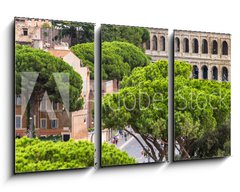 Obraz 3D tdln - 90 x 50 cm F_BS94095592 - Exterior view of the Colosseum in Rome with green trees around.