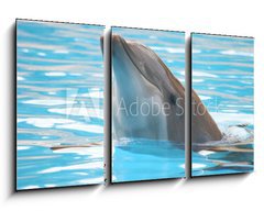 Obraz 3D tdln - 90 x 50 cm F_BS95423 - delfn