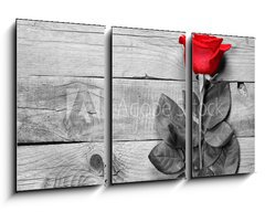 Obraz 3D tdln - 90 x 50 cm F_BS95876705 - Red rose on black and white wooden background