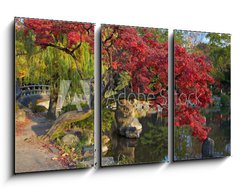 Obraz 3D tdln - 90 x 50 cm F_BS9821471 - summer japanese landscape with pond and trees