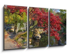 Obraz 3D tdln - 90 x 50 cm F_BS9821471 - summer japanese landscape with pond and trees - letn japonsk krajina s rybnkem a stromy