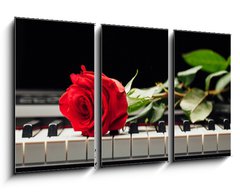 Obraz 3D tdln - 90 x 50 cm F_BS98331602 - piano keys and red rose