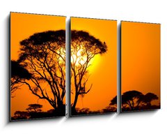 Obraz   african sunset in savannah, kenya, 90 x 50 cm