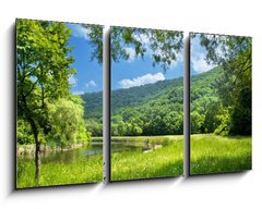 Obraz 3D tdln - 90 x 50 cm F_BS9878015 - summer landscape with river and blue sky - letn krajina s ekou a modrou oblohou