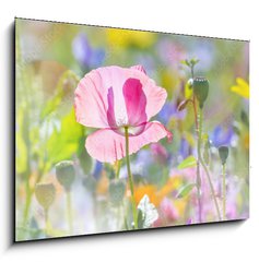 Sklenn obraz 1D - 100 x 70 cm F_E100106194 - summer meadow with red poppy - letn louka s ervenm mkem