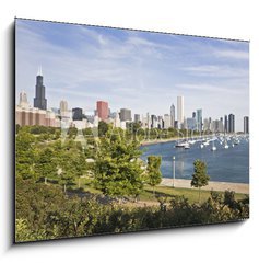 Obraz   Panorama of Chicago and Lake Michigan, 100 x 70 cm