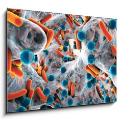 Sklenn obraz 1D - 100 x 70 cm F_E101448740 - Biofilm of antibiotic resistant bacteria, closeup view. Rod