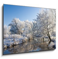 Obraz 1D - 100 x 70 cm F_E10232237 - frost and a blue sky